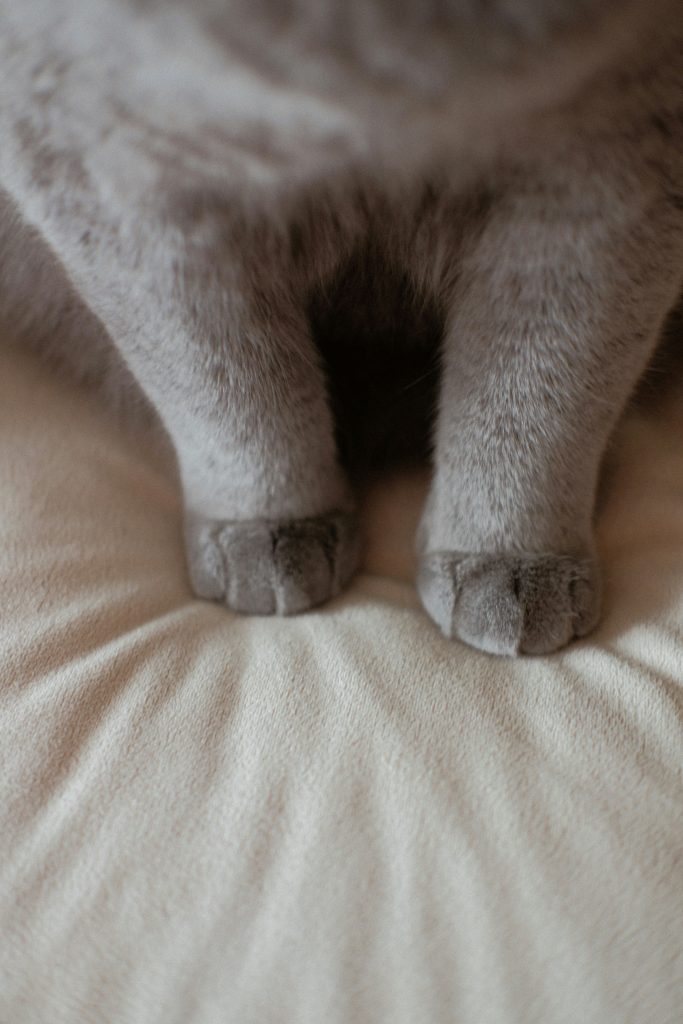 nail
